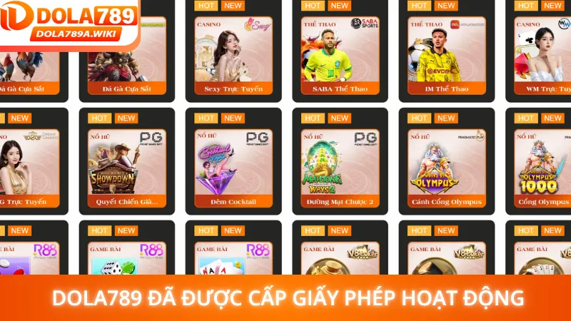 Giới thiệu Dola789 đã được cấp giấy phép hoạt động