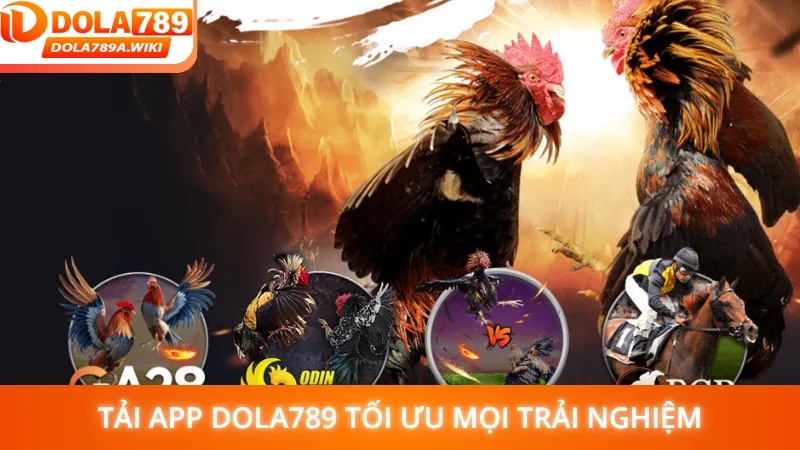 Tải app Dola789 tối ưu mọi trải nghiệm