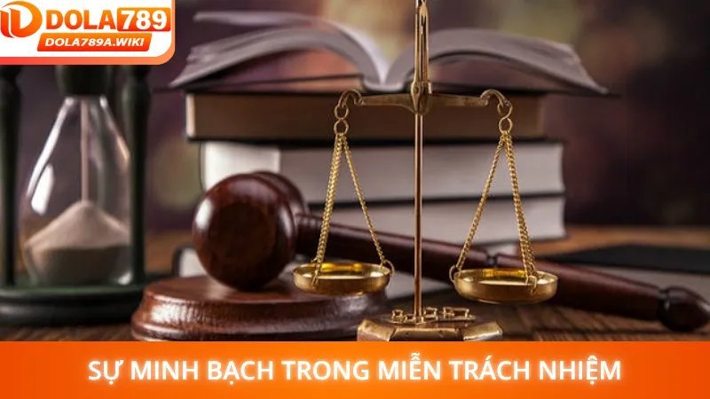 Sự minh bạch trong miễn trách nhiệm