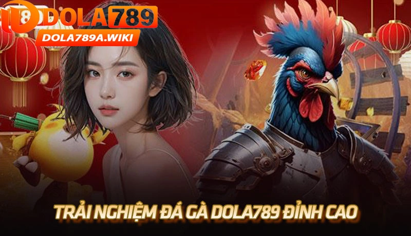 Trải nghiệm đá gà Dola789 đỉnh cao từ trường gà Thomo